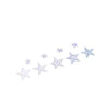 Holographic Stars Sequins 100g