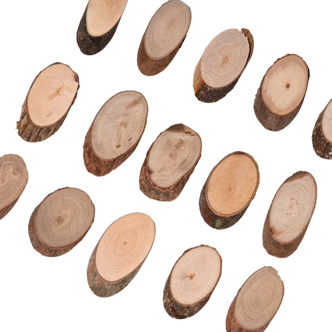 Assorted Wood Sticks & Slices, Pack of 230g