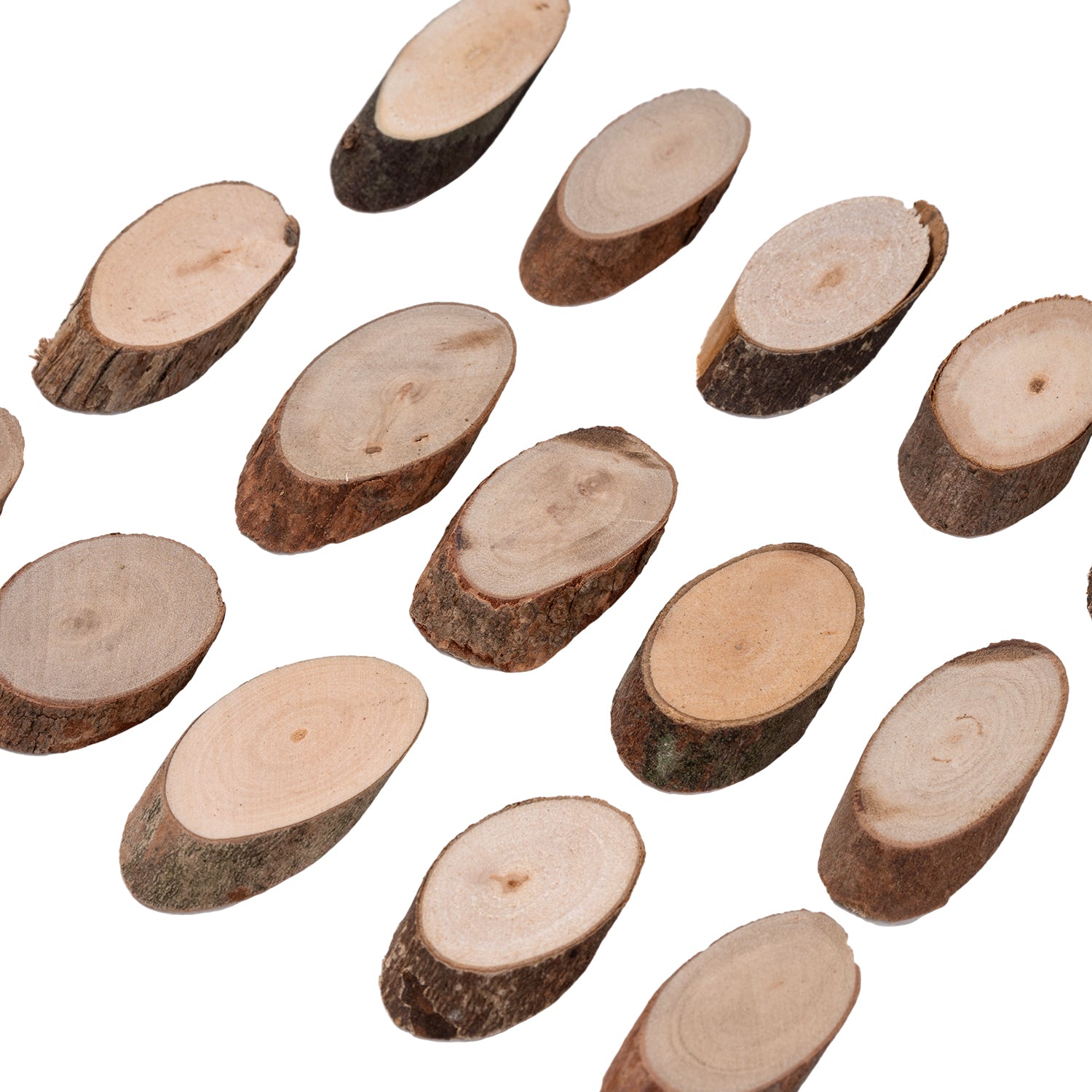 Assorted Wood Sticks & Slices, Pack of 230g
