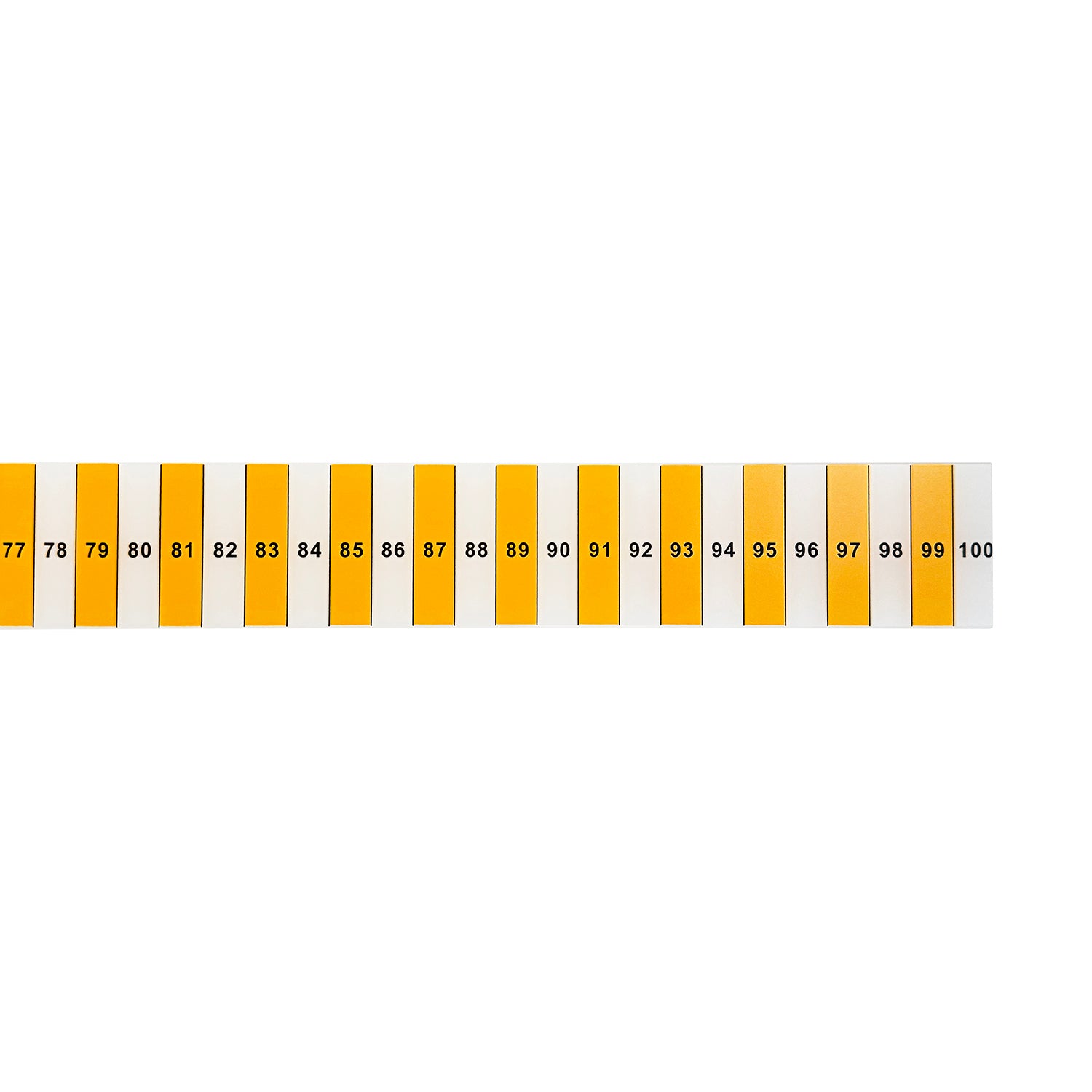 Metre Ruler, Coloured with Blocks
