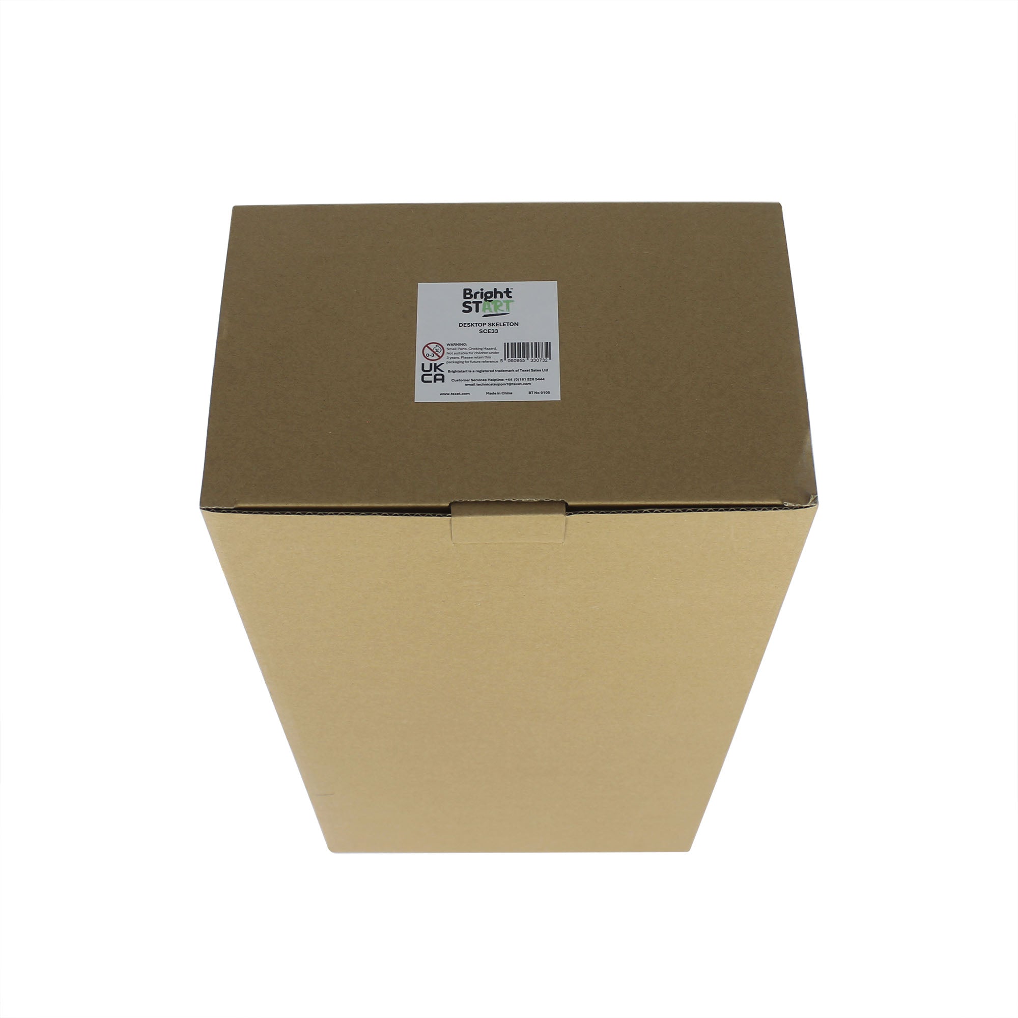 Life-size Human Skeleton Model