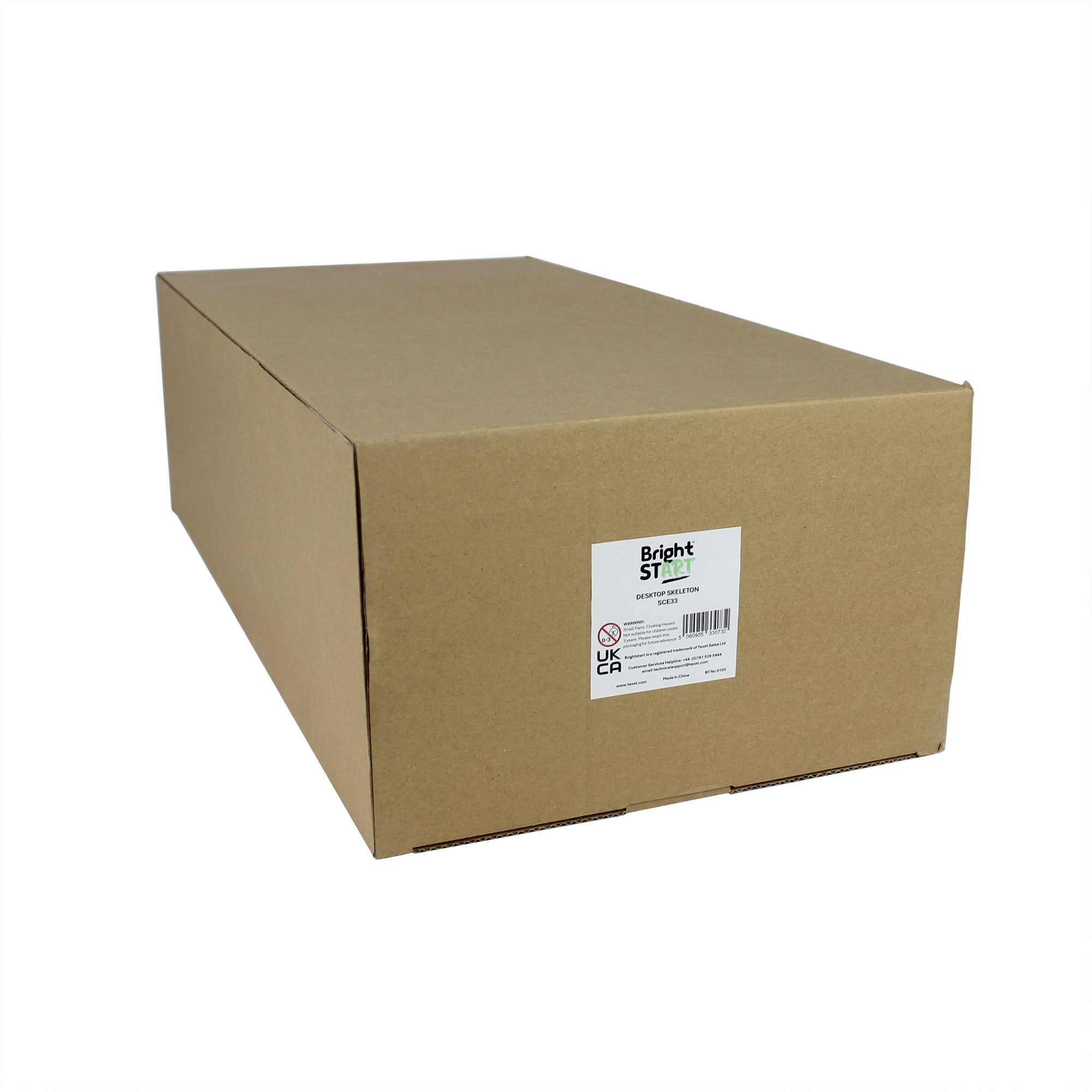 Life-size Human Skeleton Model