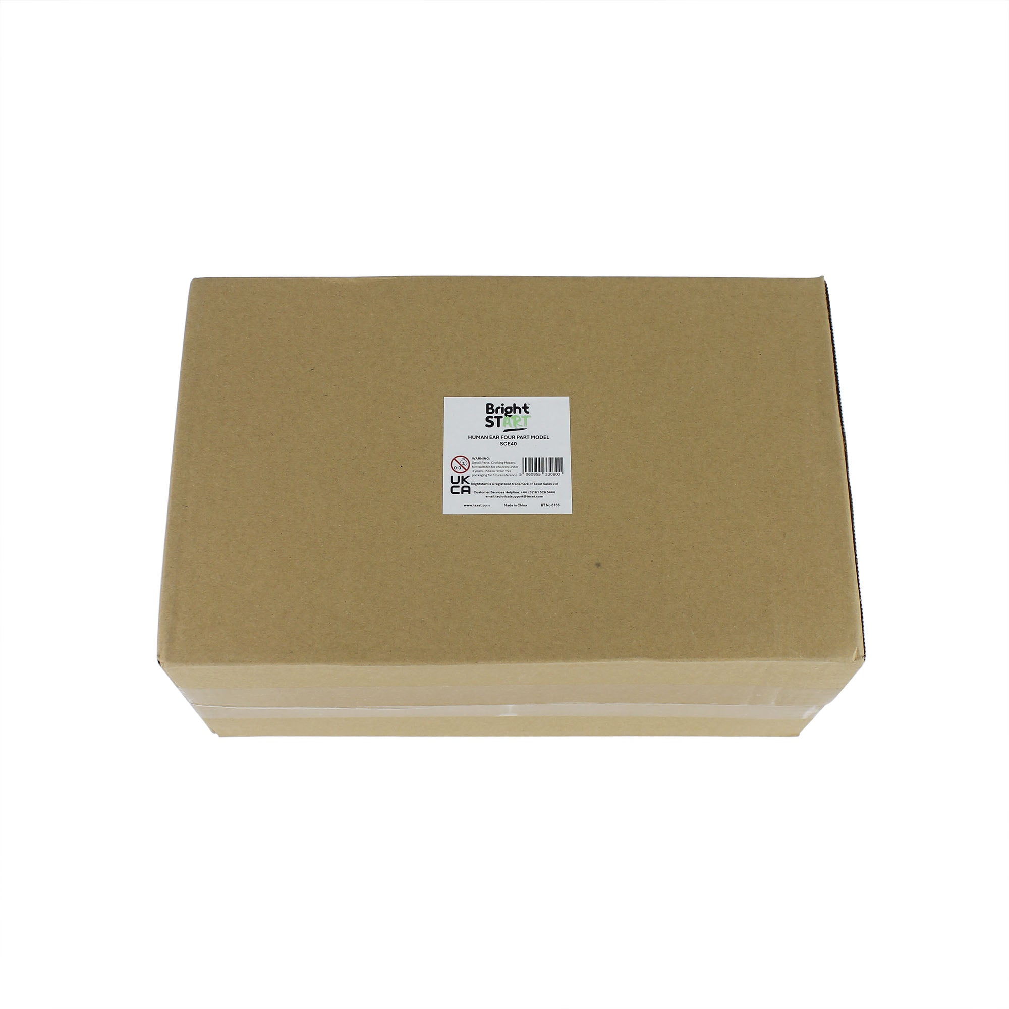 Human Ear Four Part Model