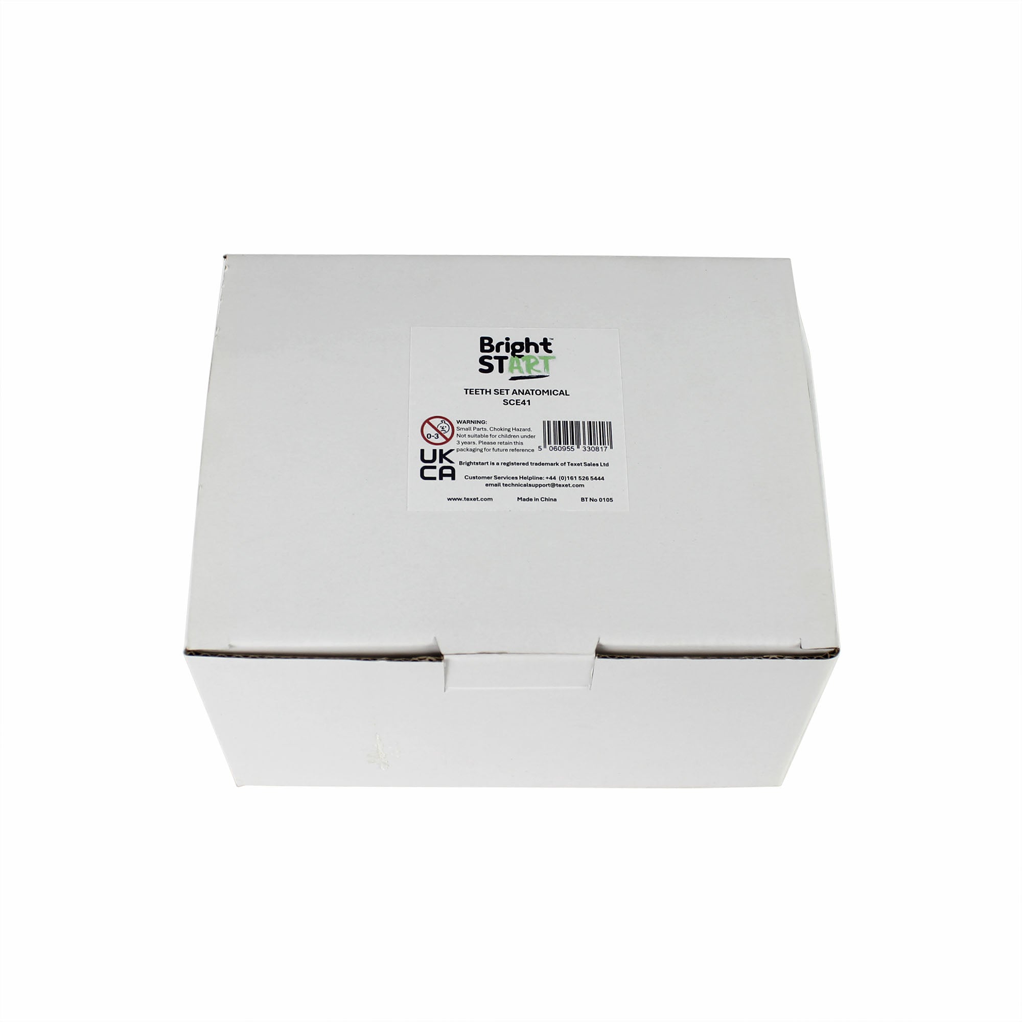 Teeth Set Anatomical