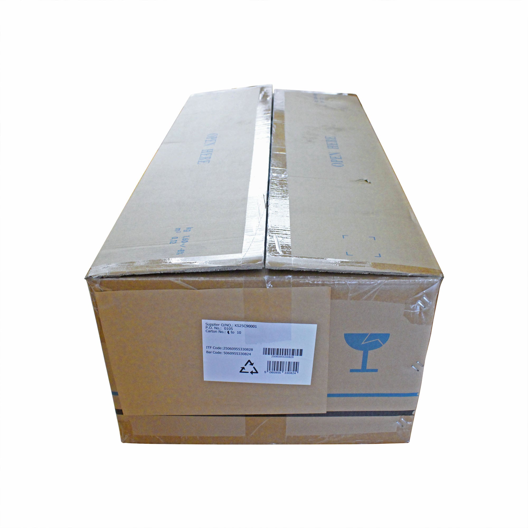 Full Size Large Skeleton Model