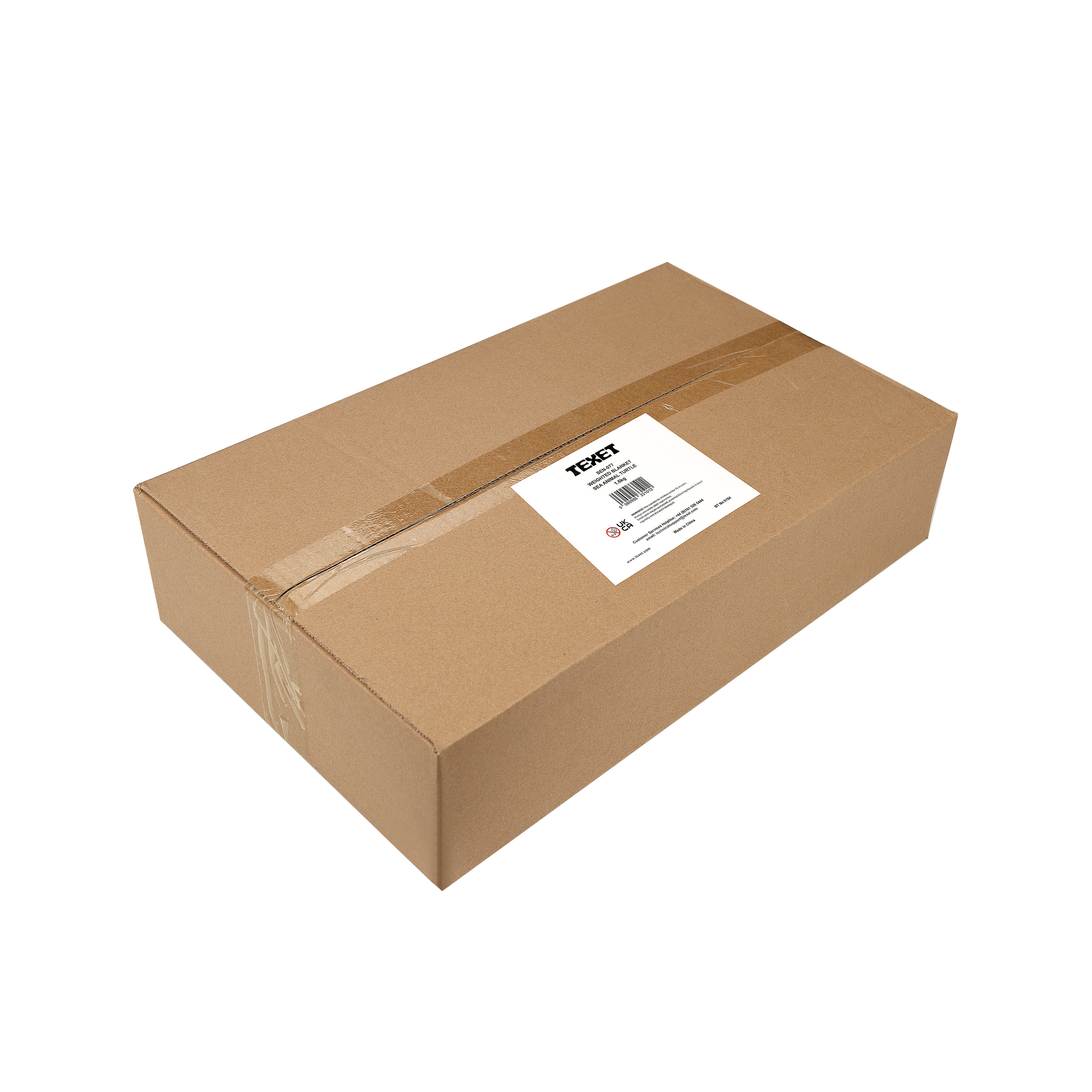 Plush Turtle Sensory Toy, 1.6kg