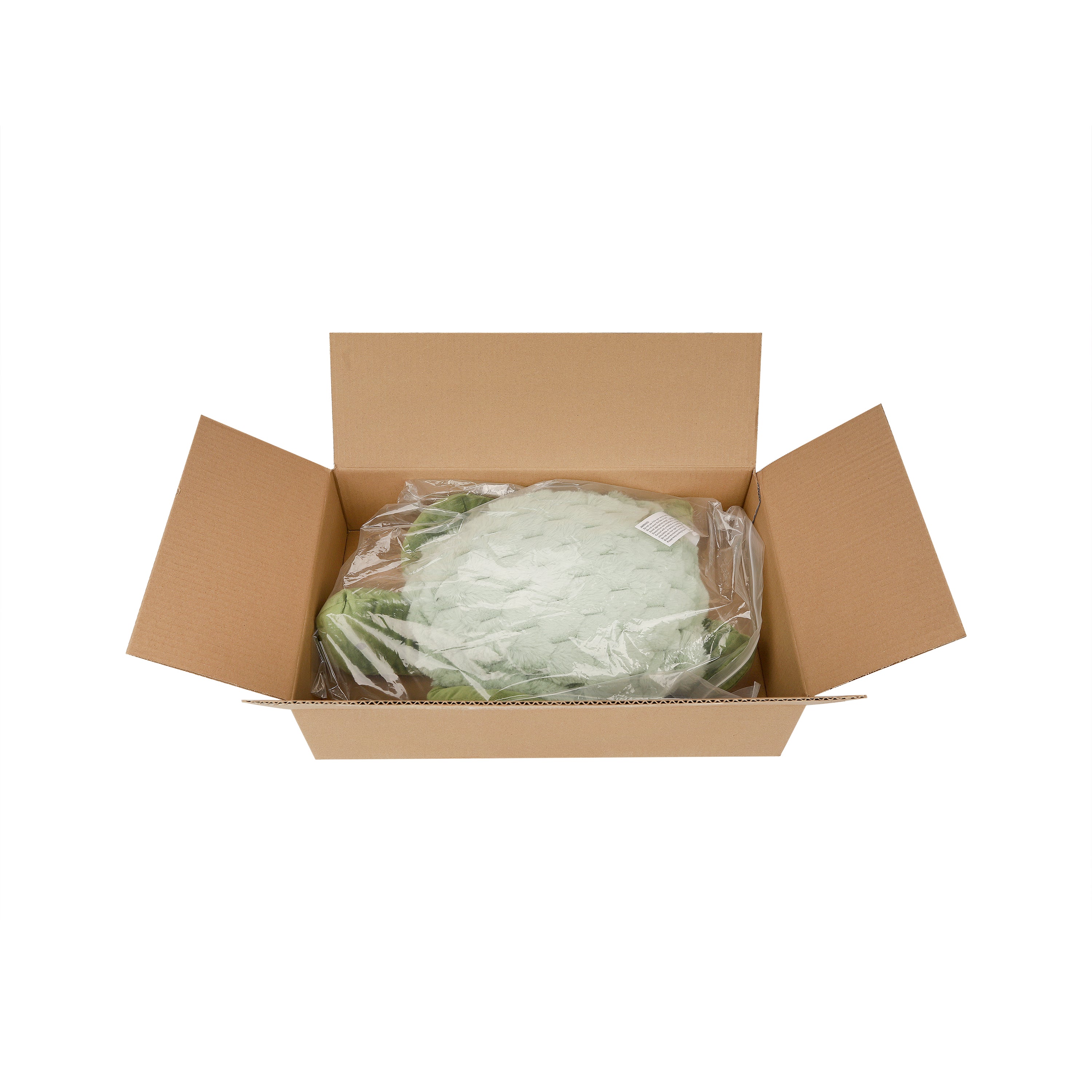 Plush Turtle Sensory Toy, 1.6kg